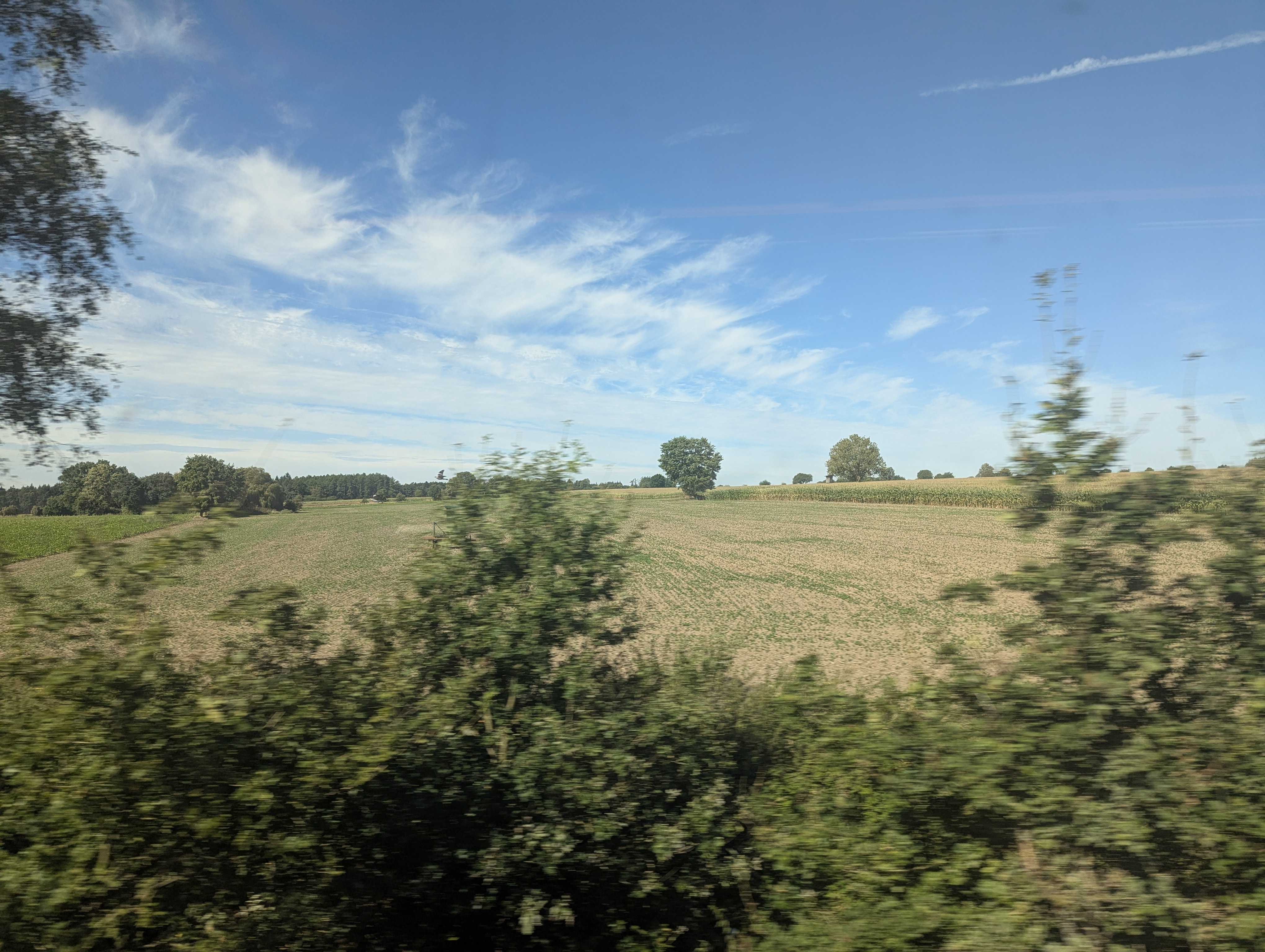 Train to Muenster, Germany